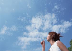 屋形船で日本酒を楽しみたいなら