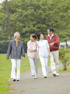 直島フェリーの全てを解説！最新2025年版の便利ガイド