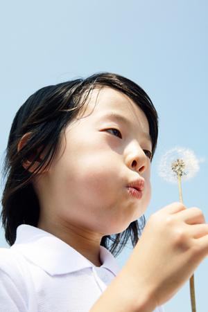 楽しみ方が色々ある白馬に出かけましょう