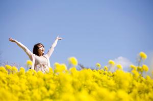 神奈川県川崎市に位置する東横INN Jr.川崎駅前の魅力と詳細情報