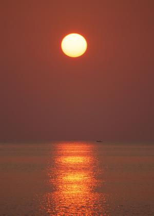 草加駅西口徒歩1分の快適ビジネスホテル｜東横INN草加駅西口の魅力と詳細情報