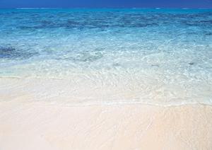 長野県松本市のビジネスホテル｜東横INN松本駅前本町の魅力と詳細情報