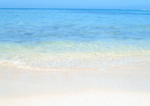 東横INN金沢兼六園香林坊：金沢市の快適なビジネスホテルと観光拠点の魅力