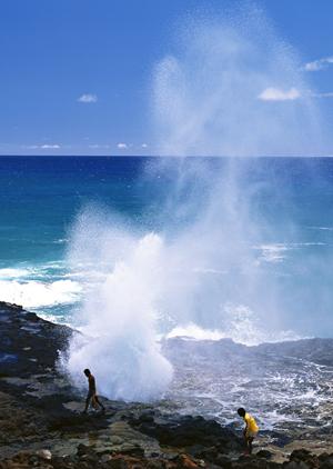 小豆島に行くならニャンコフェリー