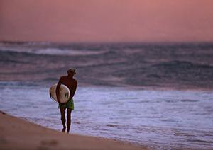 動物カフェで動物たちと触れ合おう