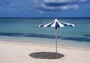 【公式】東横INN宇都宮駅前2：アクセス良好！快適な滞在を提供するビジネスホテルの魅力