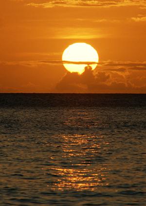 東京都豊島区・大塚駅近くの快適なビジネスホテル【東横INN大塚駅北口1】の魅力と詳細な情報