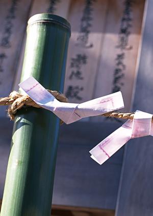 スノーボードツアーに行くならこの会社