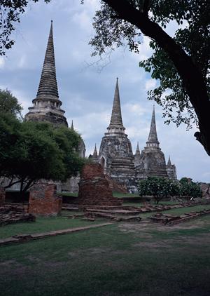 山梨県甲府市に位置する東横INN甲府駅南口1の魅力と便利な宿泊体験