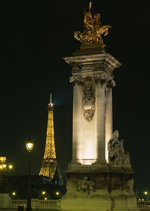 安全で楽しいアドベンチャー施設づくりをサポート