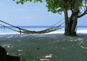 【公式情報】東横INN品川大井町｜アクセス良好なビジネスホテルの特徴と予約ガイド