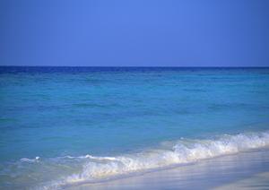 愛知県常滑市に位置する東横INN中部国際空港1の魅力とサービスガイド