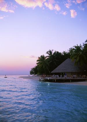 神奈川県川崎市のビジネスホテル「東横INN武蔵中原駅前」の完全ガイド