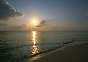 石垣島の自然満喫！プロガイドと安心して楽しむアクティビティツアーTOPガイド