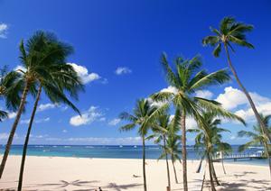 魅力的な温泉旅館が熊本にあります
