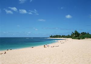 和歌山市で釣り船を借りたいのなら