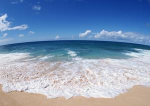 友人家族と一緒に那須のコテージを借りる