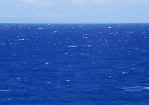 和歌山駅近くのビジネスホテル【東横インJR和歌山駅東口】の魅力と詳細情報