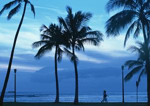 羽田空港直結のラグジュアリーホテル｜住友不動産ヴィラフォンテーヌ 羽田空港国際線ターミナル店の魅力と詳細情報